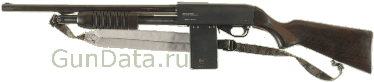 Ружье ИЖ-81КМ с отъемным коробчатым магазином на 5 патронов